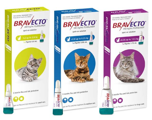 Best flea and tick prevention for cats best sale